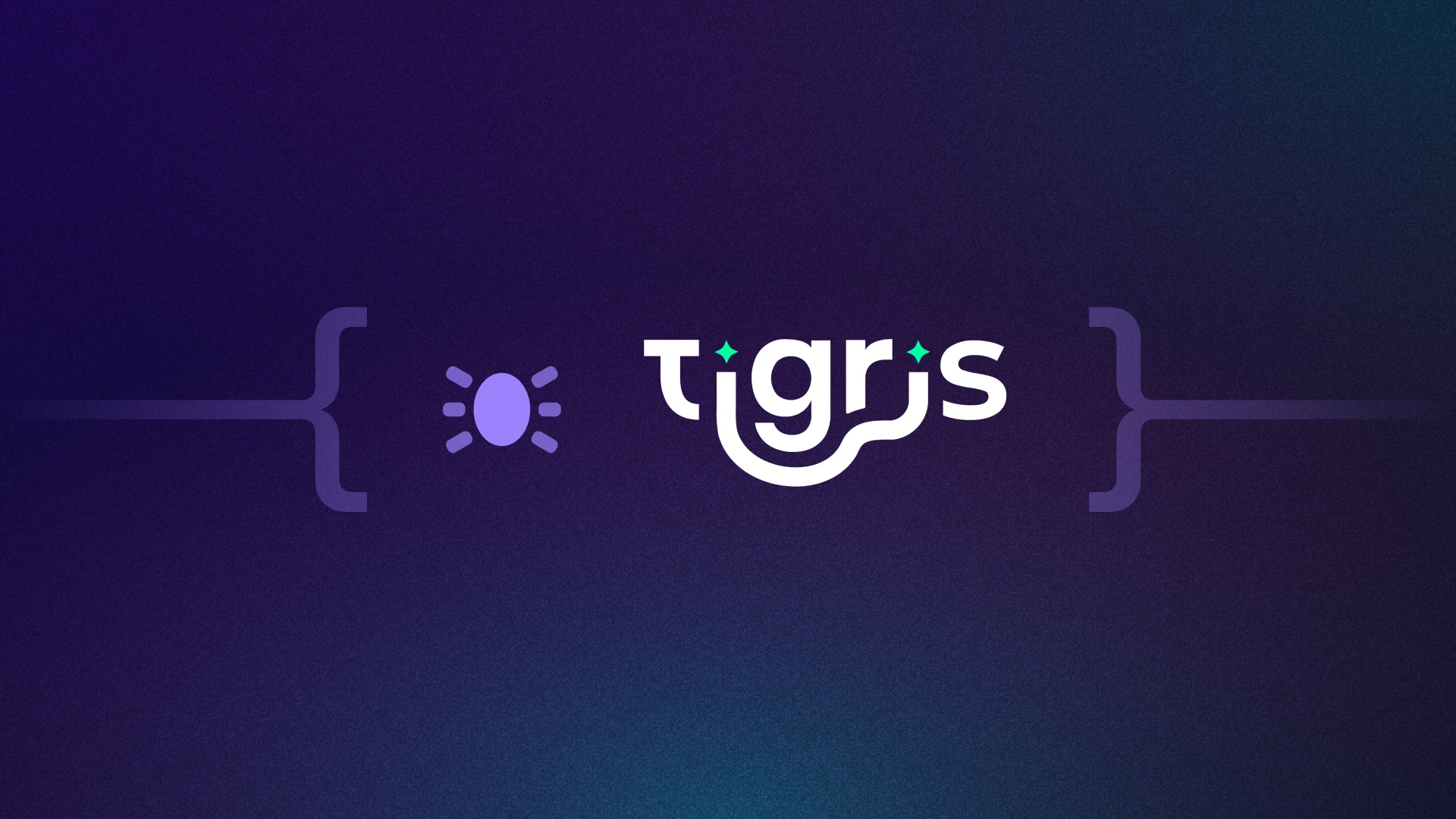 Antithesis report: Tigris Data